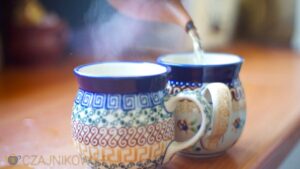 Parzenie zielonej herbaty: Jak prawidłowo parzyć zieloną herbatę, poradnik