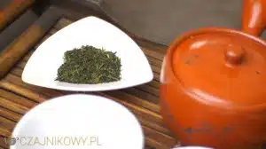 Zielona Japońska Herbata Shincha