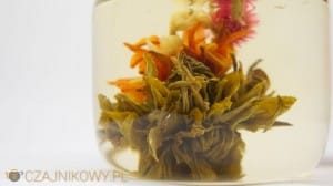 Bai He Xian Zi: Herbata Artystyczna, Kwitnąca, Rozwijająca się