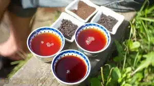 Herbata czarna Cejlon, Ceylon (Sri Lanka)