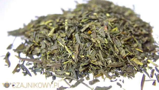 Herbata zielona Tokujosencha Isecha