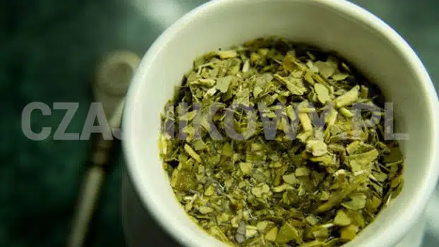 Zestaw Yerba mate dla początkujących: bombilla, matero, Yerba mate