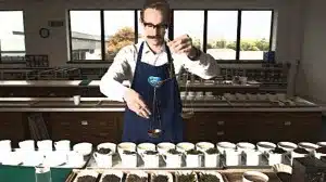 Jak wygląda praca testera herbaty, którego kubki smakowe są ubezpieczone na 5mln złotych?