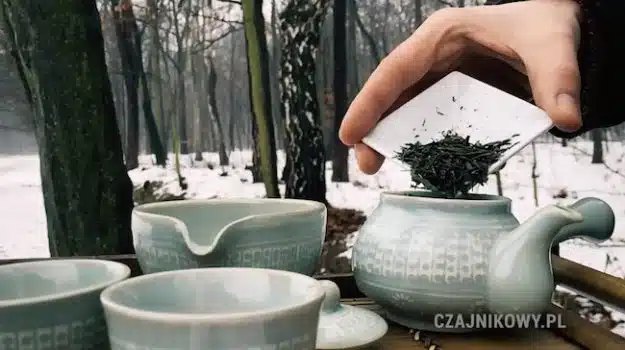 Parzenie zielonej herbaty Jeoncha