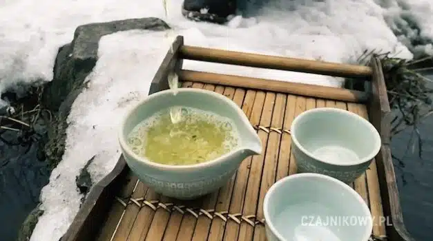 Herbata zielona Joongjak, napar