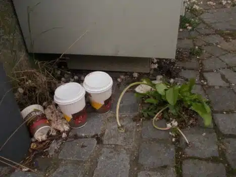 Śmieci, które pozostają po Coffee to go w Niemczech