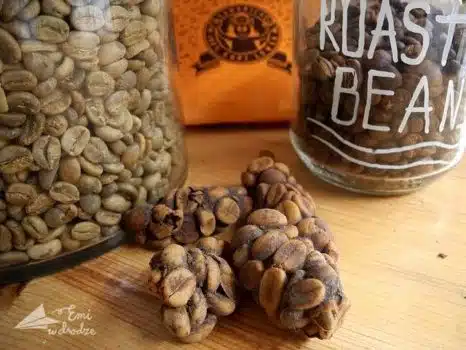 Kawa Kopi Luwak