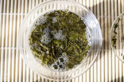 Parzenie zielonej herbaty Milky Mao Feng