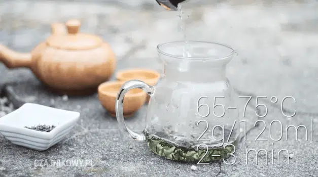 Zielona herbata Silver Sprout