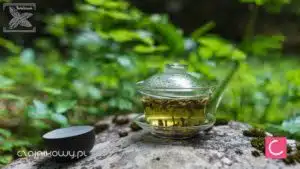 Odprężająca herbata jaśminowa z kwiatami. Jaśminowa herbata relaksuje