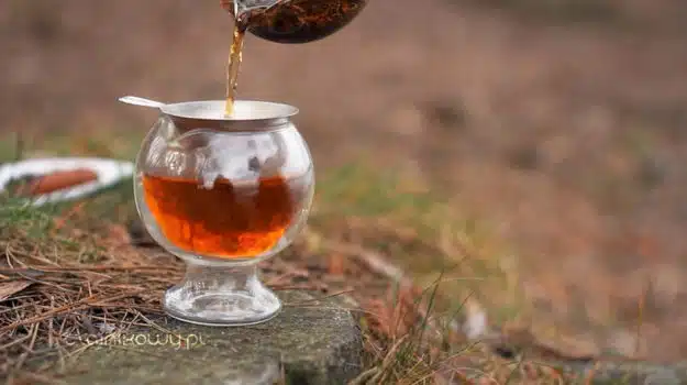 Herbata na Walentynki: herbata czarna Ceylon Lovers Leap, parzenie herbaty
