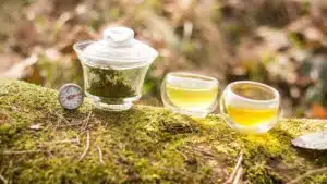 Herbata zielona japońska kokeicha parzenie pochodzenie