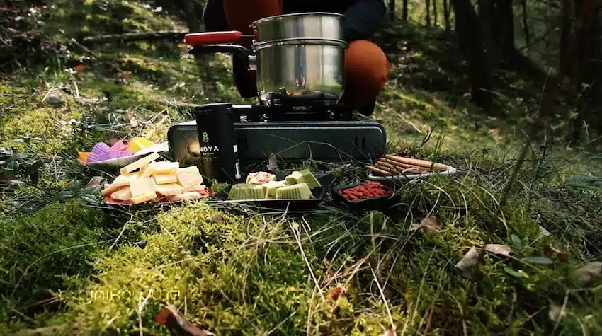 Przepis na czekoladki z zieloną herbatą Matcha. Jak zrobić czekoladę z Matcha?