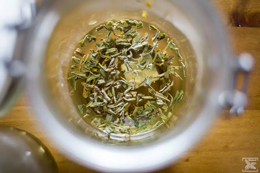 Herbata Darjeeling Singell FF Cold Brew, parzenie