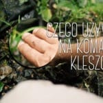 Czystek na kleszcze i komary dla Ciebie i twojego psa. Skuteczny środek, test!
