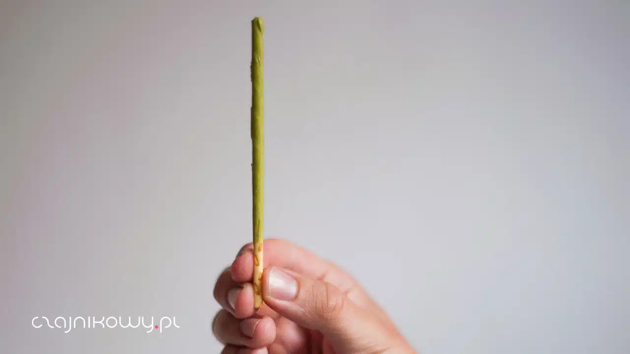 Pocky Green Tea Matcha Paluszki pszenne w polewie mlecznej Matcha, opinie - paluszek