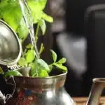 Herbata zielona z miętą. Herbata z Maroka - właściwości: gunpowder