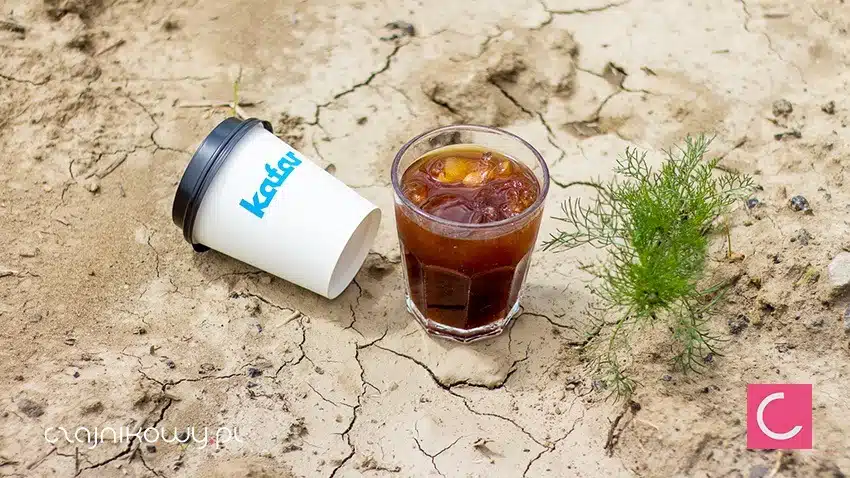 Cold brew coffee - kawa na zimno: działanie, właściwości, przepis