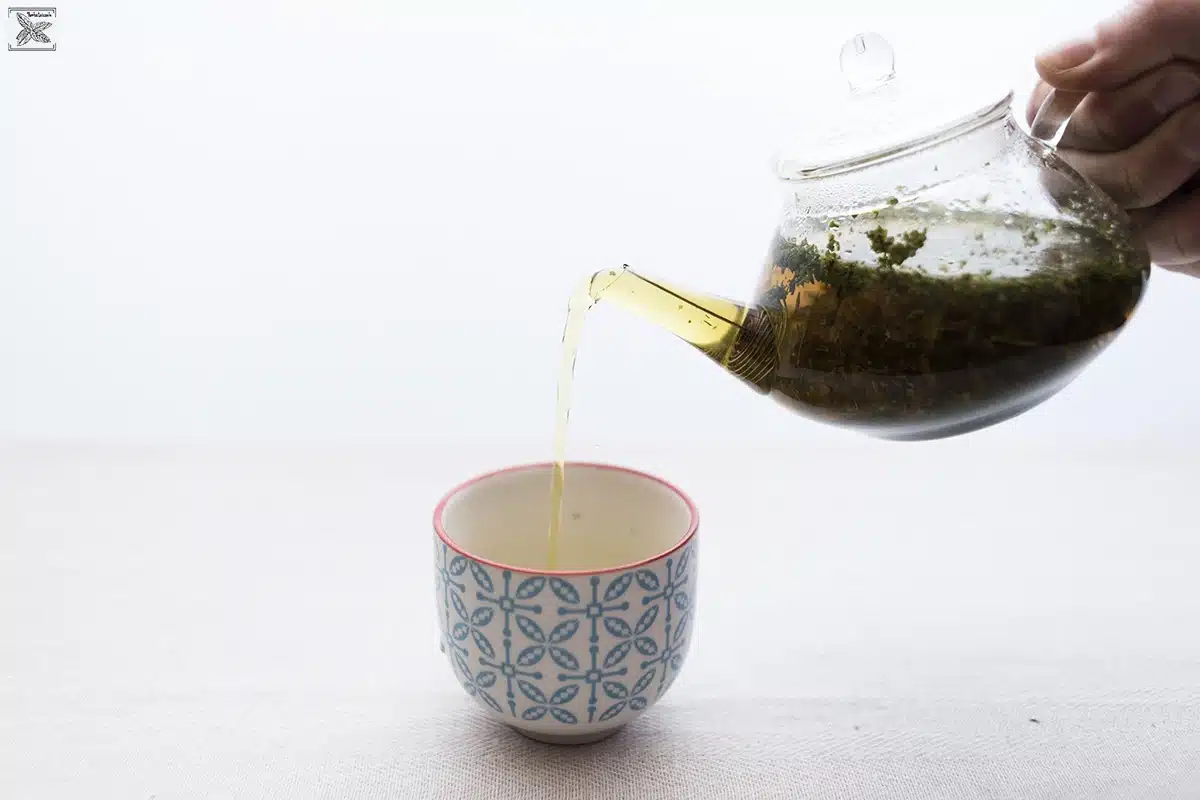Napar z konopi: parzenie herbatki
