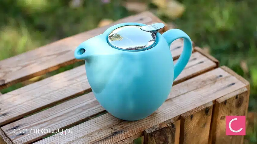 Czajnik do herbaty błękitny z sitkiem Sara 900ml