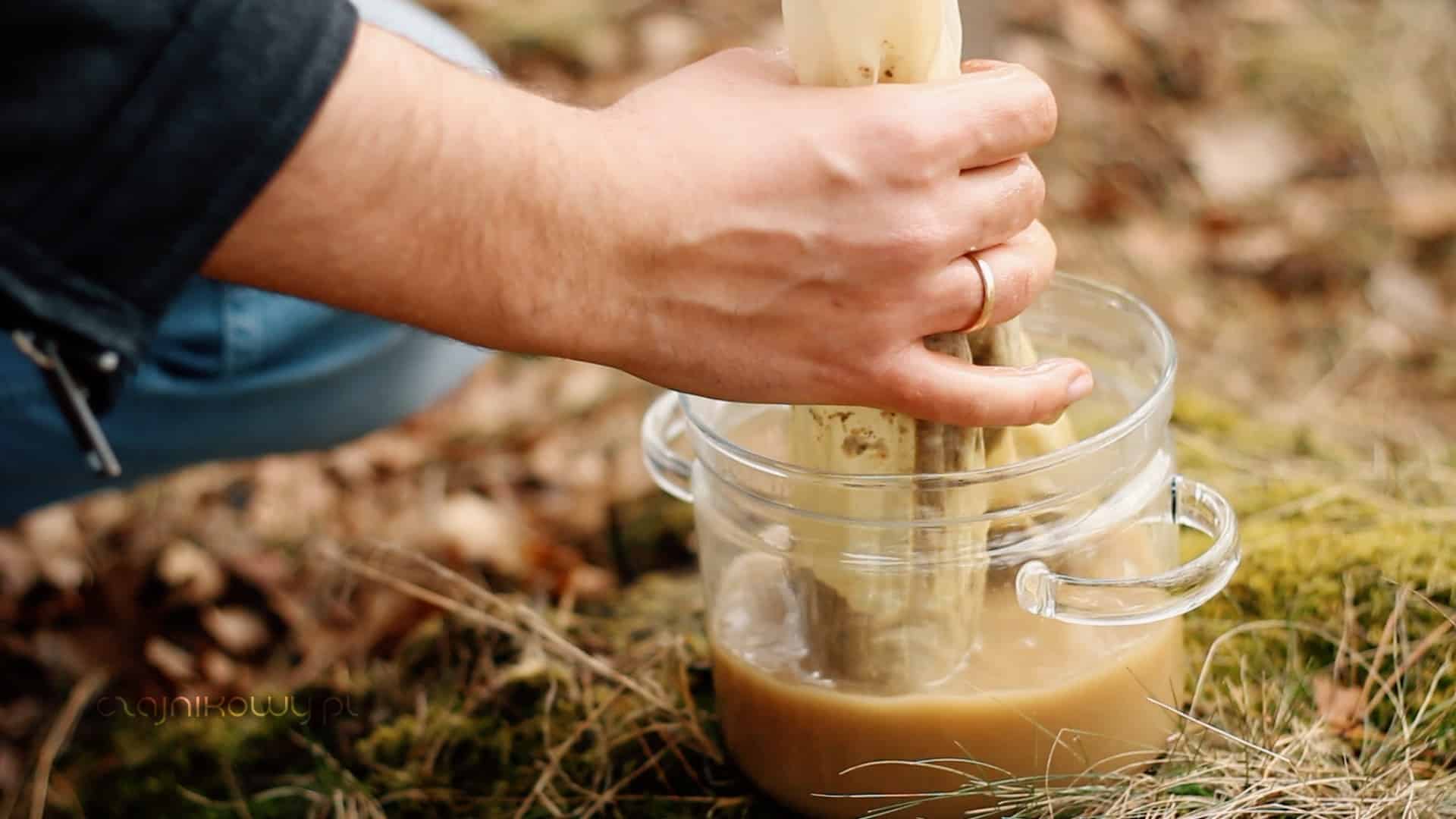 Kava kava: przygotowanie naparu