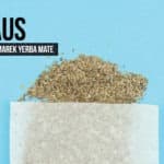 Przegląd yerba mate: Kraus (ostrokrzew paragwajski)
