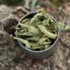 Herbata ziołowa werbena cytrynowa