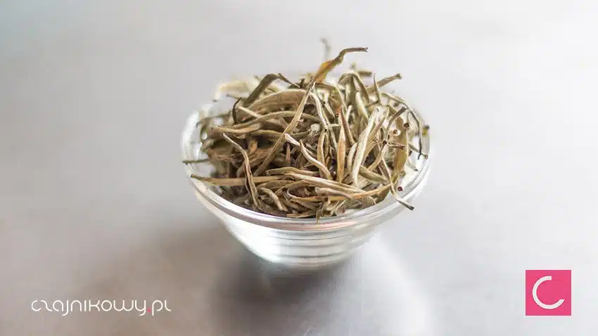 Herbata białą Yin Zhen