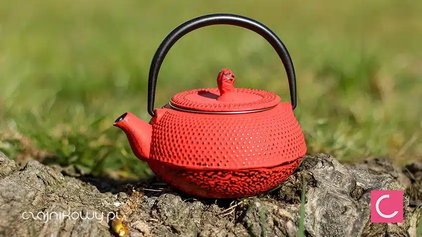 Żeliwny czajnik do herbaty Shihezi 300ml
