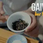 Jak używać gaiwana do herbaty? Poradnik