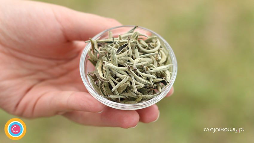 Herbata biała Yin Zhen 50g