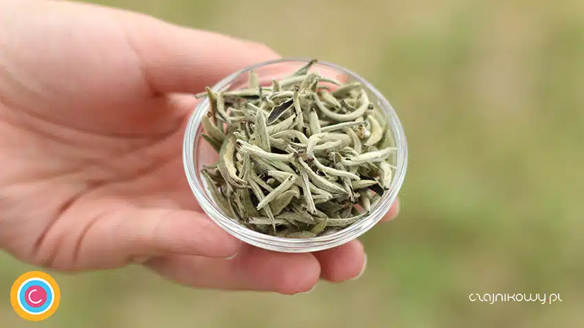 Herbata biała Yin Zhen 50g