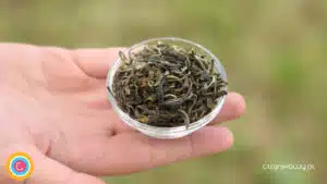 Herbata zielona 2022 Yunnan Green Tea Gao Shan Dian Lu 50g