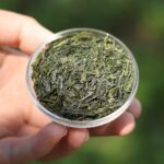 Herbata zielona japońska Japan Gyokuro Yutaka Organiczna 50g