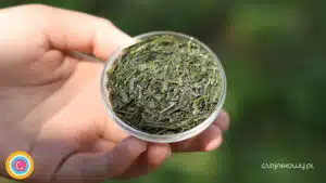 Herbata zielona japońska Japan Gyokuro Yutaka Organiczna 50g