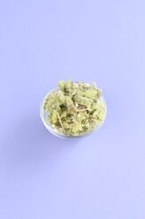 Herbata Gojnik górska ziołowa herbata mountain tea 50g
