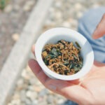 Herbata Sticky Rice oolong