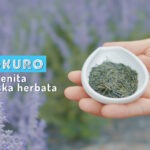 Wyjątkowa japońska zielona herbata Gyokuro