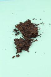 Herbata pu-erh Shu Wuliang Shan Qiao Mu Cha 20g – próbka w doypacku Czajnikowy.pl